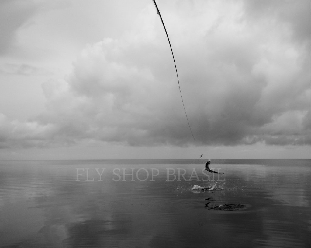 Campeche, um destino FSB. Clique na imagem para detalhes.