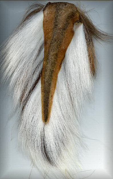 bucktail_1