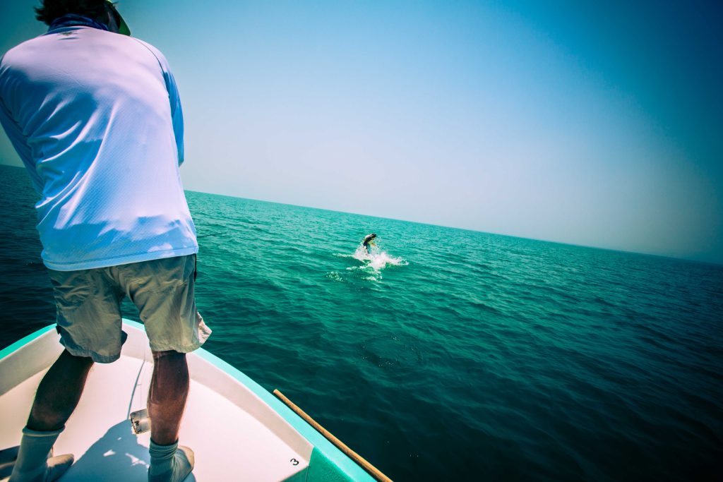 Belize - David-Tarpon Jumping-2867-2