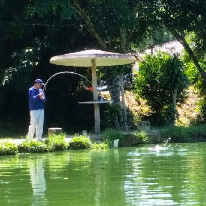 Augusto está se divertindo com sua FSB ELEV.