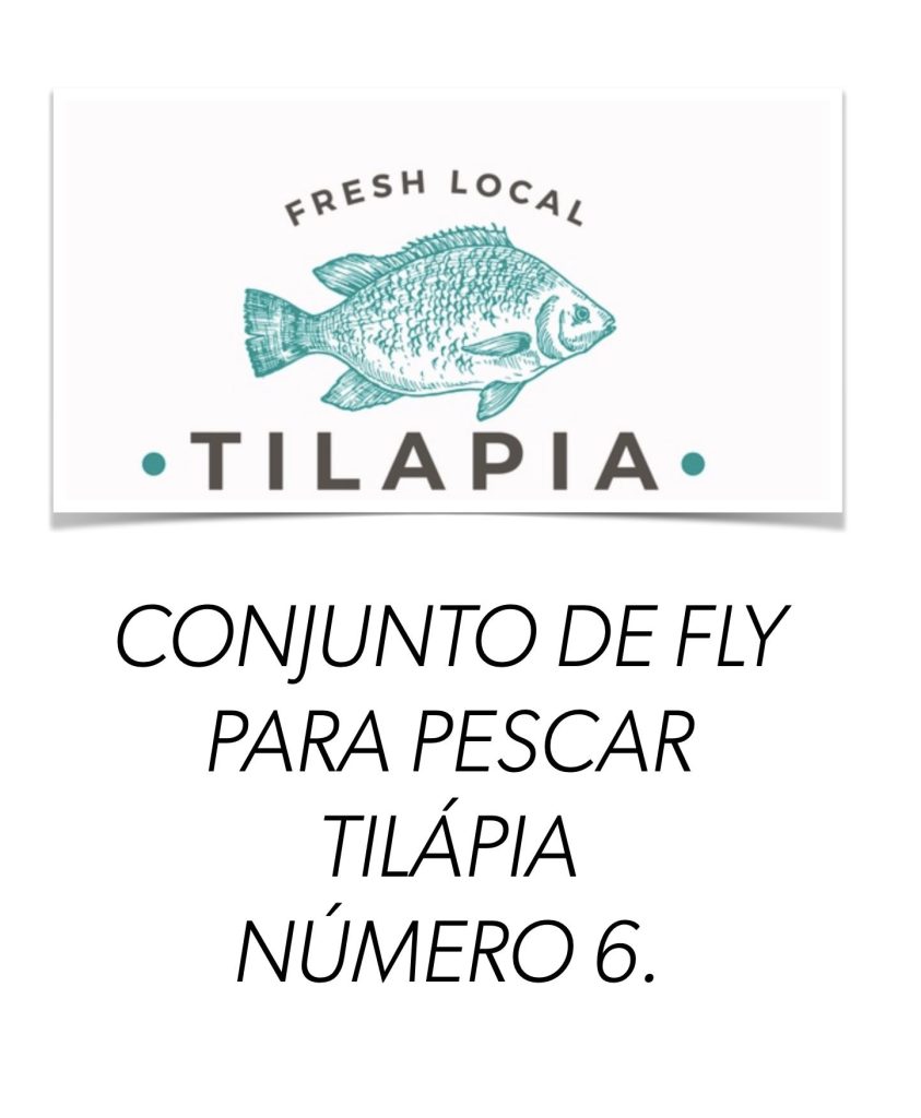 Quer desligar dos problemas e pescar tilápia com fly?