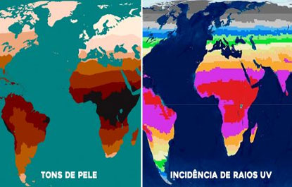 Linha de fly para tucunaré. Azul ou Paca?